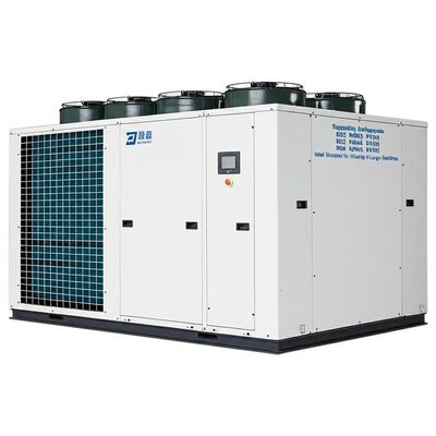 Gürültü Seviyesi ≤65dB Klima Sistemi Desteklemesi Soğutucu R22 R407C R134A R410A Büyük tesislerde soğutma için ideal çözüm